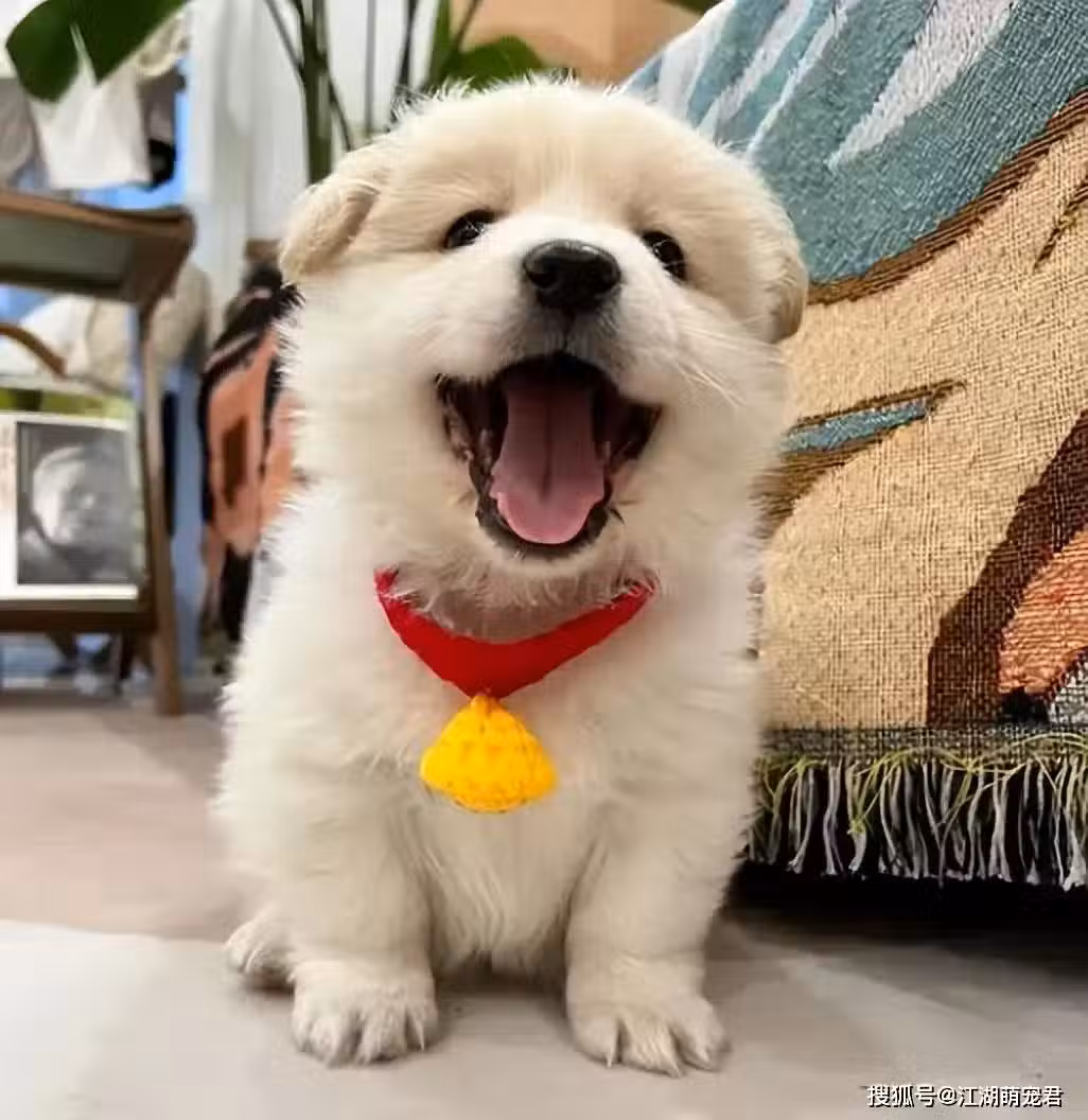 /www/bananadaily.net/web/images/image/2250/22502579.avif