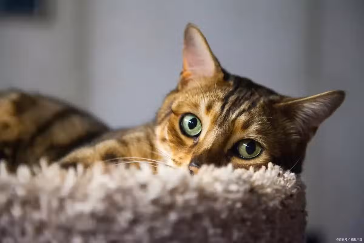 /www/bananadaily.net/web/images/image/2250/22504787.avif