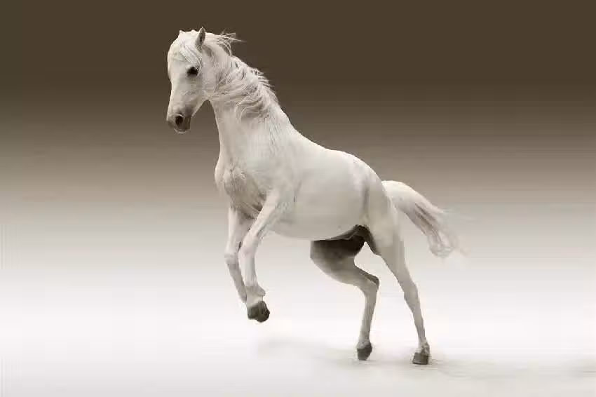 /www/bananadaily.net/web/images/image/2262/22626136.avif