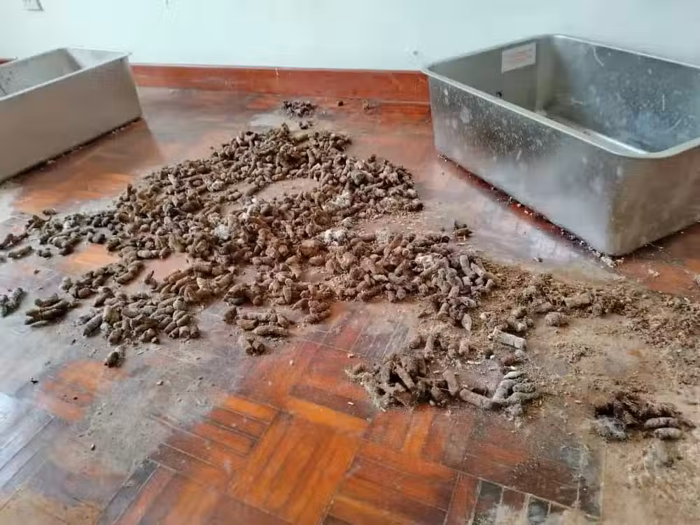 /www/bananadaily.net/web/images/image/2268/22687941.avif