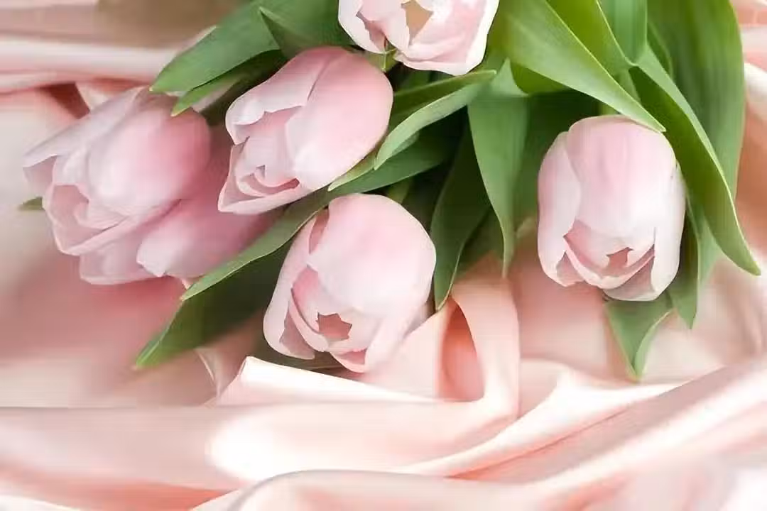 /www/bananadaily.net/web/images/image/2270/22704613.avif