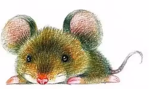 /www/bananadaily.net/web/images/image/2270/22709164.avif