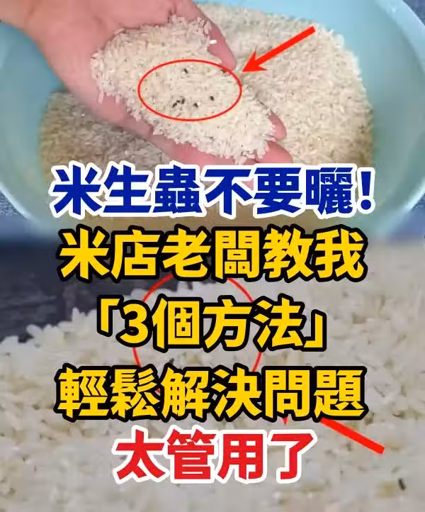 /www/bananadaily.net/web/images/image/2271/22714214.avif
