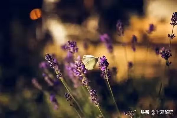 /www/bananadaily.net/web/images/image/2274/22743760.avif