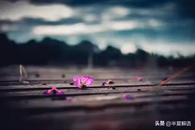 /www/bananadaily.net/web/images/image/2274/22743769.avif