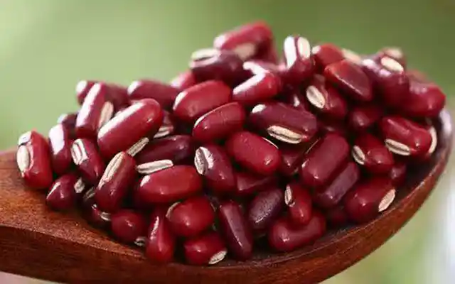 /www/bananadaily.net/web/images/image/2274/22749589.avif