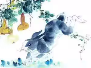 /www/bananadaily.net/web/images/image/2275/22754902.avif